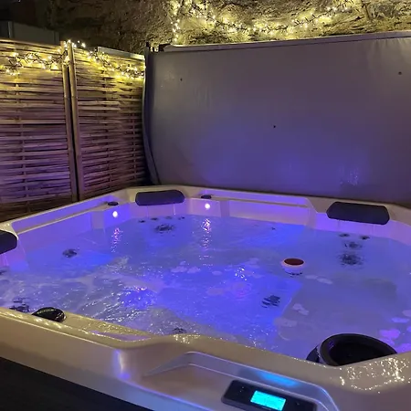 度假居 Cosy Quartier Gare Lafayette Avec Et Sauna Privatif 昂热